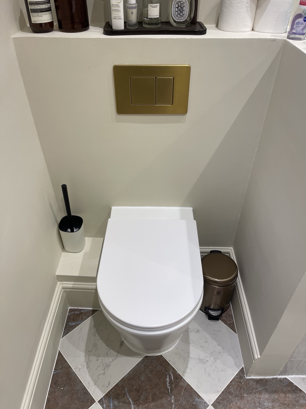 Wall-hung WC with brushed brass dual-flush plate, Shepherd's Bush W12 bathroom